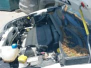 ✅ 2021 Ram ProMaster City Cargo Tradesman • VIN: ZFBHRFAB0M6S72663 • Лот: 42240265. Опубликован ранее на IAAI с пробегом 24 739 миль. Бесплатный доступ к архиву аукционных продаж из США и подробный отчёт об истории автомобиля на DreamBid. Изображение 18.