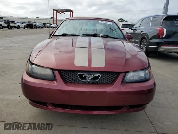 ✅ 2004 Ford Mustang Deluxe • VIN: 1FAFP44484F115156 • Lot: 75246024. Listed on Copart with Not provided. Free auction sales archive from the USA and detailed vehicle history report at DreamBid. Image 5.