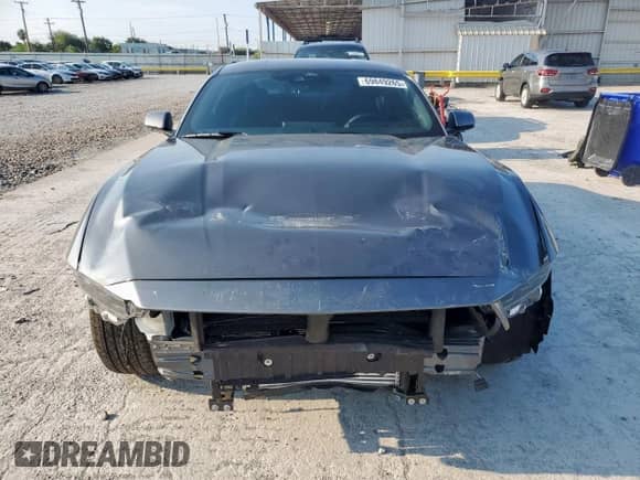 2025 Ford Mustang EcoBoost with VIN 1FA6P8TH5S5121950, listed as a Copart auction lot 69849265 with 1,023 mi miles and Clean title. Bid and sale history available at DreamBid. Image 5.