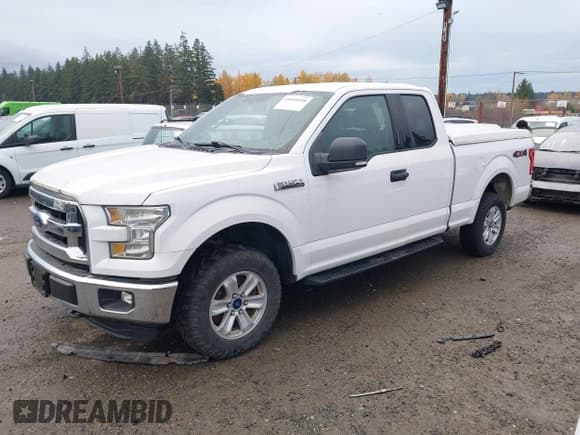 ✅ 2016 Ford F-150 XL • VIN: 1FTFX1EF2GKE19961 • Lot: 43654928. Wystawiony na IAAI z przebiegiem 170 158 mil. Bezpłatny archiwum sprzedaży aukcyjnych z USA i szczegółowy raport historii pojazdu na DreamBid. Zdjęcie 17.