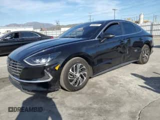 ✅ 2020 Hyundai Sonata Blue • VIN: KMHL24JJ0LA014027 • Лот: 49980905. Опубликован ранее на Copart с пробегом 116 897 миль. Бесплатный доступ к архиву аукционных продаж из США и подробный отчёт об истории автомобиля на DreamBid. Изображение 1.