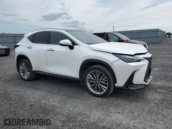 ✅ 2024 Lexus NX 350h Premium • VIN: 2T2GKCEZ6RC030250 • Лот: 65802125. Опубликован ранее на Copart с пробегом 12 375 миль. Бесплатный доступ к архиву аукционных продаж из США и подробный отчёт об истории автомобиля на DreamBid. Изображение 4.