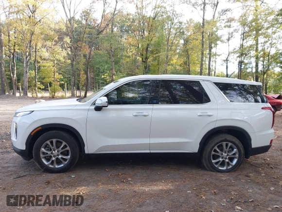 ✅ 2022 Hyundai Palisade SE • VIN: KM8R14HE0NU393473 • Лот: 43492154. Опубликован ранее на IAAI с пробегом 78 299 миль. Бесплатный доступ к архиву аукционных продаж из США и подробный отчёт об истории автомобиля на DreamBid. Изображение 15.