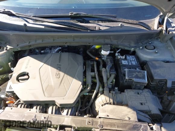 ✅ 2024 Hyundai Tucson SEL • VIN: 5NMJBCDE2RH405327 • Lot: 43228524. Listed on IAAI with 47,629 mi. Free auction sales archive from the USA and detailed vehicle history report at DreamBid. Image 10.