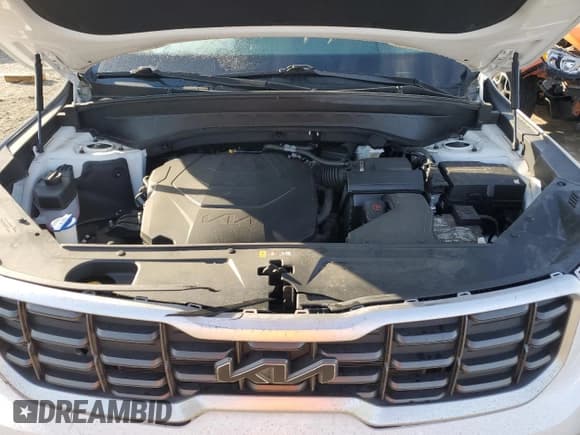 ✅ 2023 Kia Telluride S • VIN: 5XYP6DGC7PG346152 • Lot: 47249235. Listed on Copart with 27,096 mi. Free auction sales archive from the USA and detailed vehicle history report at DreamBid. Image 13.