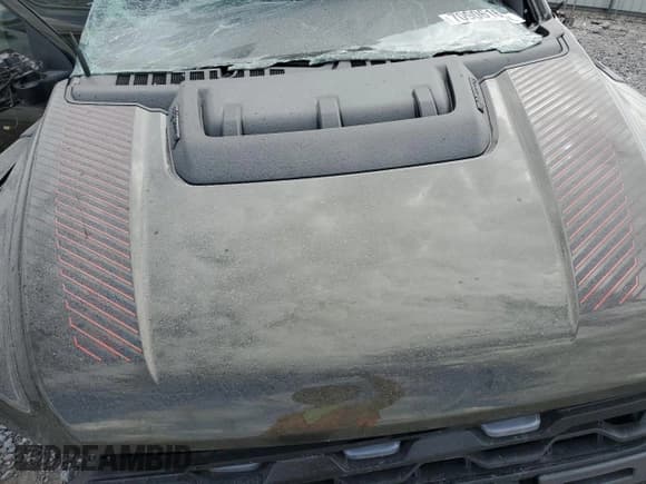 ✅ 2024 Ford F-150 Raptor • VIN: 1FTFW1RG8RFB04857 • Lot: 70906165. Wystawiony na Copart z przebiegiem Nie podano. Bezpłatny archiwum sprzedaży aukcyjnych z USA i szczegółowy raport historii pojazdu na DreamBid. Zdjęcie 11.