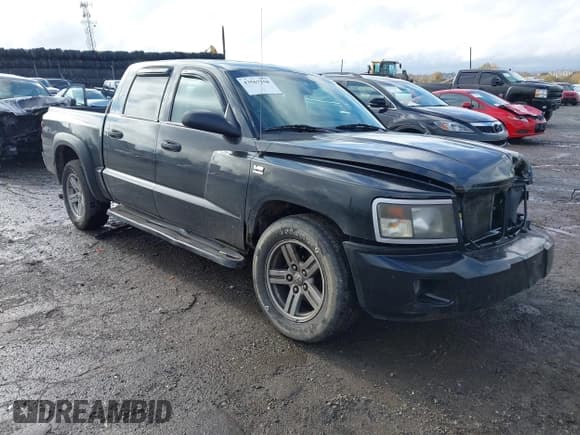 ✅ 2009 Dodge Dakota Bighorn/Lonestar • VIN: 1D7HW38P39S775050 • Lot: 43567558. Wystawiony na IAAI z przebiegiem 193 516 mil. Bezpłatny archiwum sprzedaży aukcyjnych z USA i szczegółowy raport historii pojazdu na DreamBid. Zdjęcie 1.