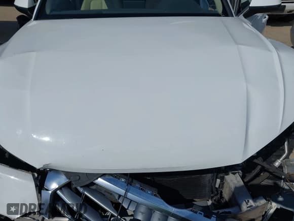 ✅ 2019 Audi Q5 Premium • VIN: WA1ANAFY9K2137853 • Lot: 43543457. Listed on IAAI with Not provided. Free auction sales archive from the USA and detailed vehicle history report at DreamBid. Image 10.