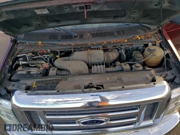 ✅ 2011 Ford Econoline Passenger XLT • VIN: 1FBNE3BL3BDA23353 • Lot: 95520895. Wystawiony na Copart z przebiegiem 166 046 mil. Bezpłatny archiwum sprzedaży aukcyjnych z USA i szczegółowy raport historii pojazdu na DreamBid. Zdjęcie 12.