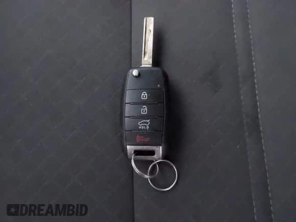 ✅ 2017 Kia Sorento LX • VIN: 5XYPGDA33HG237534 • Lot: 43889393. Listed on IAAI with 109,962 mi. Free auction sales archive from the USA and detailed vehicle history report at DreamBid. Image 11.