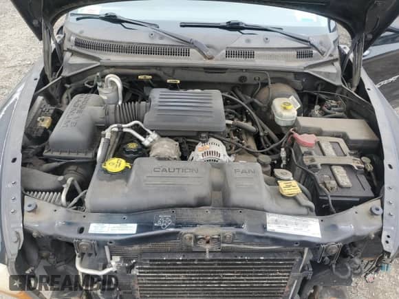 2001 Dodge Dakota Sport z VIN 1B7GG22N01S129747, wystawiony jako Copart lot #74132454 z przebiegiem 180 890 mil mil oraz Szkoda całkowita • Salvage title. Historia ofert i sprzedaży dostępna na DreamBid. Obrazek 11.