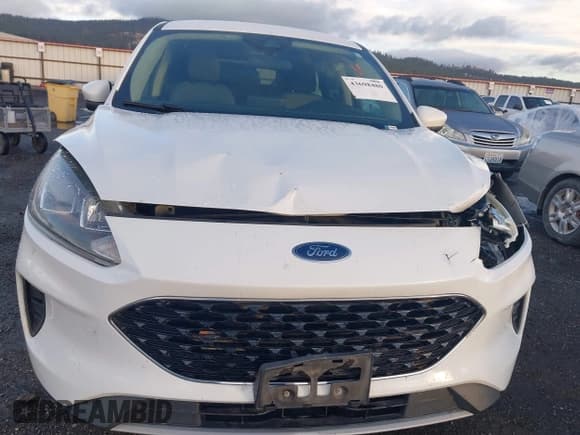 ✅ 2020 Ford Escape SE • VIN: 1FMCU9G60LUA36585 • Лот: 43698480. Опубликован ранее на IAAI с пробегом 142 055 миль. Бесплатный доступ к архиву аукционных продаж из США и подробный отчёт об истории автомобиля на DreamBid. Изображение 17.