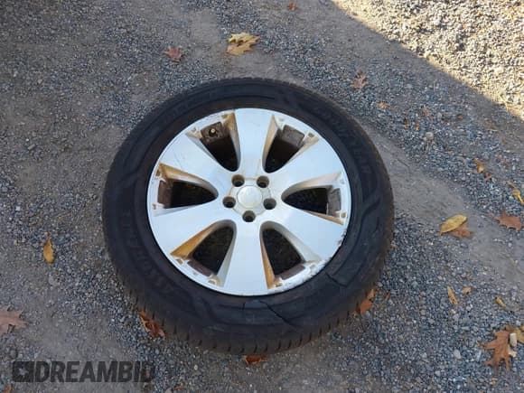 ✅ 2011 Subaru Outback Premium • VIN: 4S4BRCCCXB3346625 • Лот: 43625248. Опубликован ранее на IAAI с пробегом 184 253 миль. Бесплатный доступ к архиву аукционных продаж из США и подробный отчёт об истории автомобиля на DreamBid. Изображение 12.