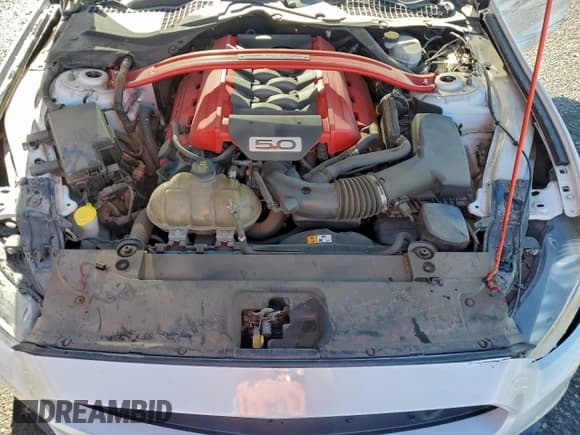 ✅ 2017 Ford Mustang GT • VIN: 1FA6P8CF9H5272605 • Lot: 94763535. Wystawiony na Copart z przebiegiem 41 022 mil. Bezpłatny archiwum sprzedaży aukcyjnych z USA i szczegółowy raport historii pojazdu na DreamBid. Zdjęcie 11.