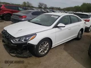 ✅ 2019 Hyundai Sonata SE • VIN: 5NPE24AF5KH789004 • Lot: 48388993. Listed on Copart with 10,112 mi. Free auction sales archive from the USA and detailed vehicle history report at DreamBid. Image 1.