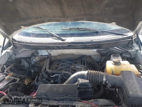 ✅ 2011 Ford F-150 XL • VIN: 1FTFW1EFXBKD89491 • Lot: 41479190. Listed on IAAI with 242,797 mi. Free auction sales archive from the USA and detailed vehicle history report at DreamBid. Image 10.