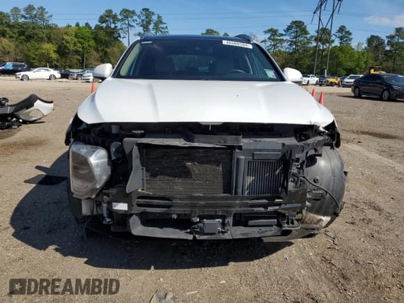 ✅ 2019 Hyundai Santa Fe Limited • VIN: 5NMS53AA4KH012593 • Lot: 46508594. Wystawiony na Copart z przebiegiem 76 779 mil. Bezpłatny archiwum sprzedaży aukcyjnych z USA i szczegółowy raport historii pojazdu na DreamBid. Zdjęcie 5.