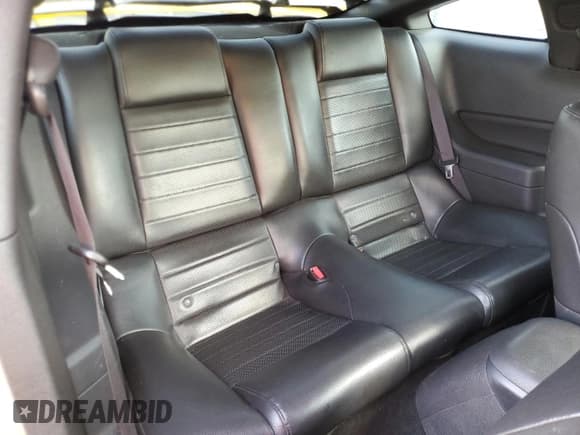 ✅ 2006 Ford Mustang Standard • VIN: 1ZVFT80NX65101485 • Lot: 93646925. Wystawiony na Copart z przebiegiem 179 372 mil. Bezpłatny archiwum sprzedaży aukcyjnych z USA i szczegółowy raport historii pojazdu na DreamBid. Zdjęcie 10.