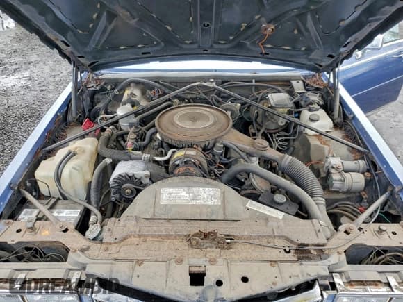 ✅ 1984 Cadillac Seville • VIN: 1G6AS6989EE809567 • Лот: 94370185. Опубликован ранее на Copart с пробегом 1 116 миль. Бесплатный доступ к архиву аукционных продаж из США и подробный отчёт об истории автомобиля на DreamBid. Изображение 11.