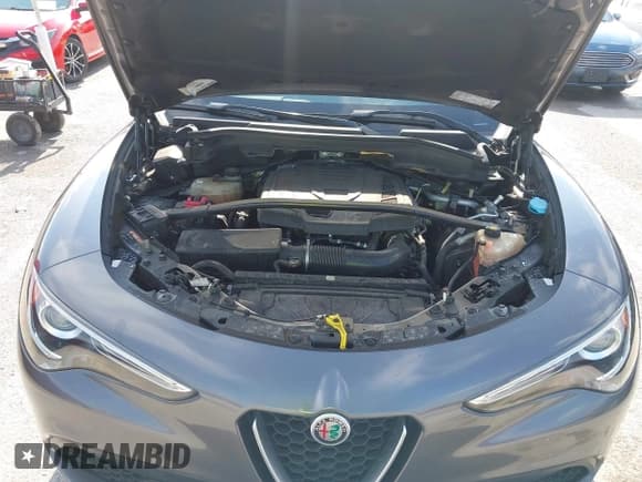 ✅ 2019 Alfa Romeo Stelvio Sport • VIN: ZASPAKAN1K7C37146 • Lot: 42638359. Listed on IAAI with Not provided. Free auction sales archive from the USA and detailed vehicle history report at DreamBid. Image 10.