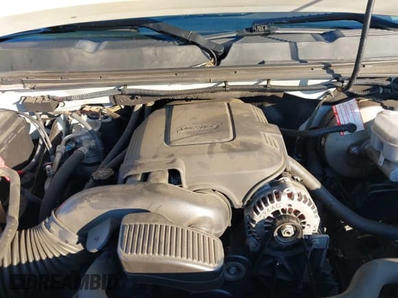 ✅ 2009 Chevrolet Silverado 1500 • VIN: 3GCEC33J49G178179 • Lot: 41810627. Wystawiony na IAAI z przebiegiem 205 823 mil. Bezpłatny archiwum sprzedaży aukcyjnych z USA i szczegółowy raport historii pojazdu na DreamBid. Zdjęcie 10.