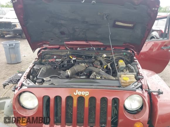 ✅ 2008 Jeep Wrangler Sahara • VIN: 1J4FA54168L512227 • Lot: 42106422. Wystawiony na IAAI z przebiegiem 198 495 mil. Bezpłatny archiwum sprzedaży aukcyjnych z USA i szczegółowy raport historii pojazdu na DreamBid. Zdjęcie 10.