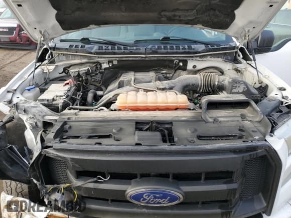 ✅ 2017 Ford F-150 XL • VIN: 1FTMF1CP8HKC54344 • Lot: 57599445. Wystawiony na Copart z przebiegiem 85 997 mil. Bezpłatny archiwum sprzedaży aukcyjnych z USA i szczegółowy raport historii pojazdu na DreamBid. Zdjęcie 11.