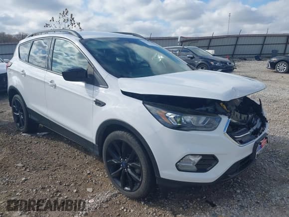 ✅ 2019 Ford Escape SE • VIN: 1FMCU0GD6KUB29765 • Lot: 43713856. Listed on IAAI with 67,512 mi. Free auction sales archive from the USA and detailed vehicle history report at DreamBid. Image 1.