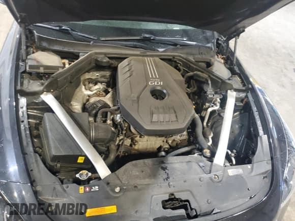 ✅ 2019 Kia Stinger Premium • VIN: KNAE25LA6K6058077 • Lot: 87079715. Listed on Copart with 96,160 mi. Free auction sales archive from the USA and detailed vehicle history report at DreamBid. Image 11.