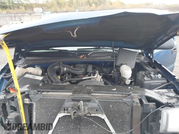 ✅ 2003 Chevrolet Silverado 1500 • VIN: 1GCEK14X83Z141718 • Lot: 43500906. Listed on IAAI with Not provided. Free auction sales archive from the USA and detailed vehicle history report at DreamBid. Image 10.