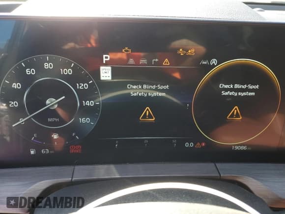 ✅ 2024 Kia Telluride SX Prestige X-Line • VIN: 5XYP5DGCXRG432982 • Lot: 93007055. Wystawiony na Copart z przebiegiem 19 086 mil. Bezpłatny archiwum sprzedaży aukcyjnych z USA i szczegółowy raport historii pojazdu na DreamBid. Zdjęcie 9.