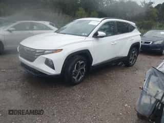 2023 Hyundai Tucson SEL с VIN 5NMJFCAE7PH252384, выставлен на аукционе IAAI как лот 43290932 с пробегом 8 004 миль миль и . История ставок и продаж доступна на DreamBid. Изображение 2.