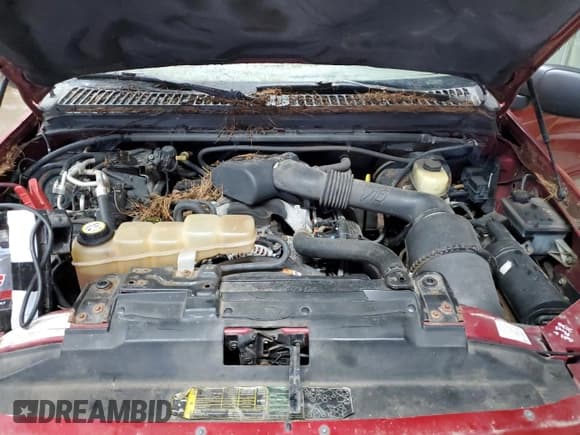 ✅ 2003 Ford Excursion Eddie Bauer • VIN: 1FMNU45S03ED68015 • Lot: 69443285. Listed on Copart with 242,553 mi. Free auction sales archive from the USA and detailed vehicle history report at DreamBid. Image 12.