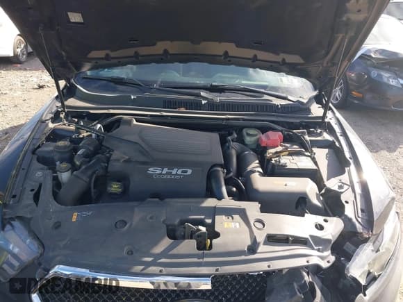 ✅ 2014 Ford Taurus SHO • VIN: 1FAHP2KT2EG135969 • Lot: 43614628. Listed on IAAI with 130,233 mi. Free auction sales archive from the USA and detailed vehicle history report at DreamBid. Image 10.