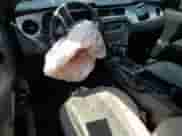 2014 Ford Mustang V6 с VIN 1ZVBP8EM8E5273502, выставлен на аукционе Copart как лот 71125485 с пробегом Не указан миль и Списание • Salvage title. История ставок и продаж доступна на DreamBid. Изображение 8.