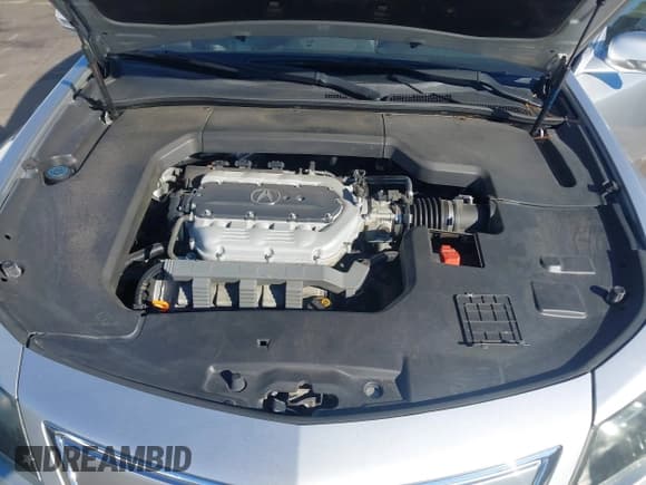 ✅ 2013 Acura TL • VIN: 19UUA8F24DA001532 • Лот: 43488133. Опубликован ранее на IAAI с пробегом 159 286 миль. Бесплатный доступ к архиву аукционных продаж из США и подробный отчёт об истории автомобиля на DreamBid. Изображение 10.