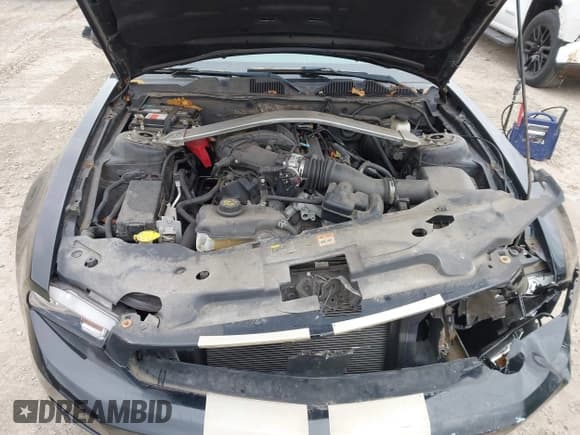 ✅ 2011 Ford Mustang V6 • VIN: 1ZVBP8EM3B5161671 • Lot: 43662644. Listed on IAAI with 54,327 mi. Free auction sales archive from the USA and detailed vehicle history report at DreamBid. Image 10.