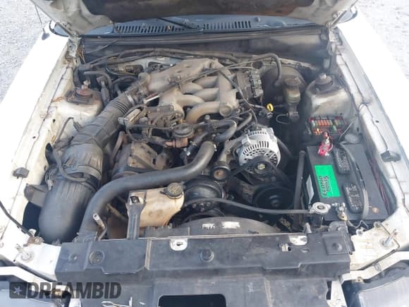 ✅ 1999 Ford Mustang • VIN: 1FAFP4048XF111103 • Lot: 43014774. Wystawiony na IAAI z przebiegiem Nie podano. Bezpłatny archiwum sprzedaży aukcyjnych z USA i szczegółowy raport historii pojazdu na DreamBid. Zdjęcie 10.