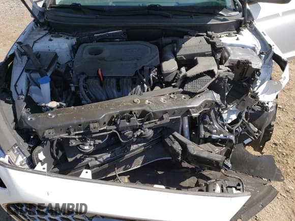 ✅ 2019 Hyundai Sonata SEL • VIN: 5NPE34AFXKH797080 • Lot: 49061903. Listed on Copart with 35,047 mi. Free auction sales archive from the USA and detailed vehicle history report at DreamBid. Image 12.