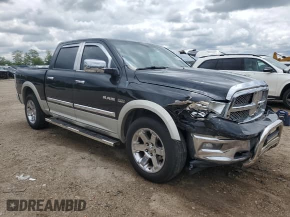 ✅ 2010 Dodge 1500 Sport • VIN: 1D7RV1CT8AS108513 • Lot: 58031135. Wystawiony na Copart z przebiegiem 180 966 mil. Bezpłatny archiwum sprzedaży aukcyjnych z USA i szczegółowy raport historii pojazdu na DreamBid. Zdjęcie 4.