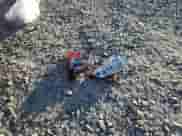 2001 Dodge 1500 with VIN 3B7HC13Y71M542227, listed as a Copart auction lot 74893644 with 229,044 mi miles and Salvage title. Bid and sale history available at DreamBid. Image 12.