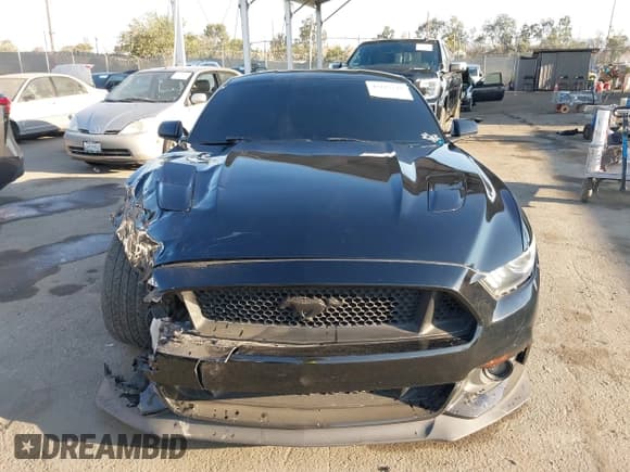 ✅ 2017 Ford Mustang GT • VIN: 1FA6P8CF3H5277668 • Lot: 43117218. Wystawiony na IAAI z przebiegiem 45 694 mil. Bezpłatny archiwum sprzedaży aukcyjnych z USA i szczegółowy raport historii pojazdu na DreamBid. Zdjęcie 12.