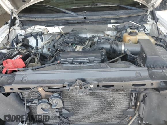 ✅ 2013 Ford F-150 XL • VIN: 1FTEX1EM8DFA54636 • Lot: 71434135. Listed on Copart with 188,537 mi. Free auction sales archive from the USA and detailed vehicle history report at DreamBid. Image 11.