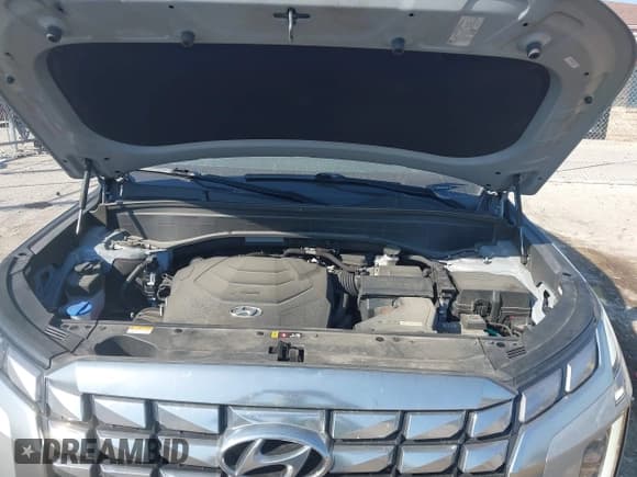 ✅ 2023 Hyundai Palisade Calligraphy • VIN: KM8R7DGE8PU562920 • Лот: 43332716. Опубликован ранее на IAAI с пробегом 67 352 миль. Бесплатный доступ к архиву аукционных продаж из США и подробный отчёт об истории автомобиля на DreamBid. Изображение 10.