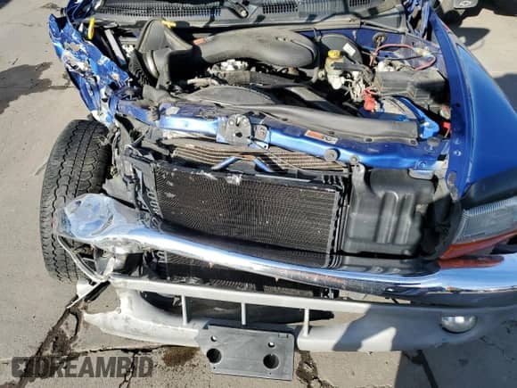 1997 Dodge Dakota z VIN 1B7GG23Y4VS270030, wystawiony jako Copart lot #73244994 z przebiegiem 87 277 mil mil oraz Szkoda całkowita • Salvage title. Historia ofert i sprzedaży dostępna na DreamBid. Obrazek 11.