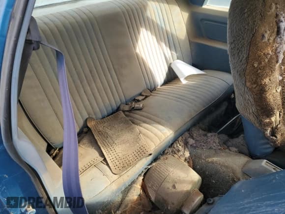 ✅ 1979 Ford Mustang • VIN: 9R02W117623 • Lot: 79574824. Wystawiony na Copart z przebiegiem 41 434 mil. Bezpłatny archiwum sprzedaży aukcyjnych z USA i szczegółowy raport historii pojazdu na DreamBid. Zdjęcie 10.