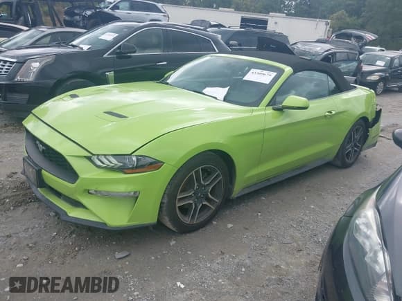 ✅ 2020 Ford Mustang EcoBoost Premium • VIN: 1FATP8UH4L5125734 • Lot: 43309679. Wystawiony na IAAI z przebiegiem 80 459 mil. Bezpłatny archiwum sprzedaży aukcyjnych z USA i szczegółowy raport historii pojazdu na DreamBid. Zdjęcie 17.
