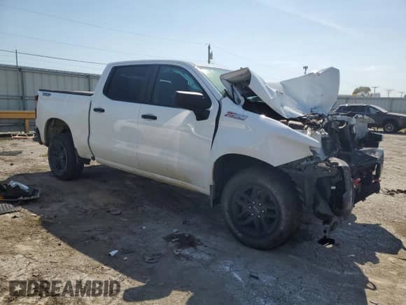 2021 Chevrolet Silverado 1500 Custom Trail Boss with VIN 1GCPYCEFXMZ164251, listed as a Copart auction lot 80461925 with Not provided miles and Salvage title. Bid and sale history available at DreamBid. Image 4.