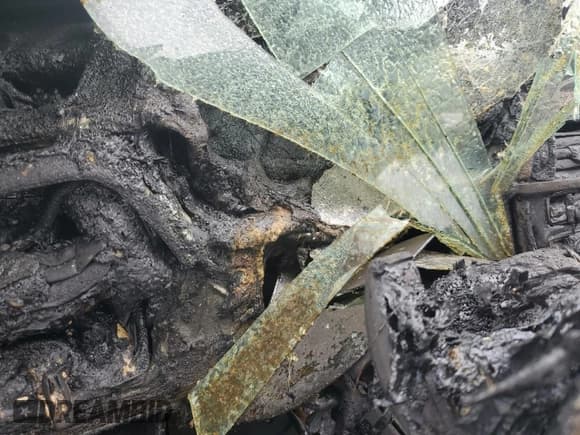 ✅ 2015 BMW 4 Series 428i xDrive • VIN: WBA3V9C54FP798705 • Lot: 86497275. Wystawiony na Copart z przebiegiem Nie podano. Bezpłatny archiwum sprzedaży aukcyjnych z USA i szczegółowy raport historii pojazdu na DreamBid. Zdjęcie 9.