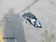 2019 Chevrolet Malibu LS with VIN 1G1ZC5ST4KF155694, listed as a IAAI auction lot 42515486 with 85,210 mi miles and . Bid and sale history available at DreamBid. Image 12.